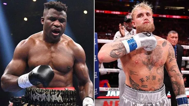 Francis Ngannou usou o duelo de Jake Paul contra Anthony Joshua para provocar o influenciador e pugilista americano (Foto: Reprodução)